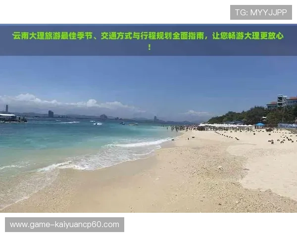 如何选择靠谱的333体育直播棋牌平台保障你的游戏安全与娱乐体验全面指南